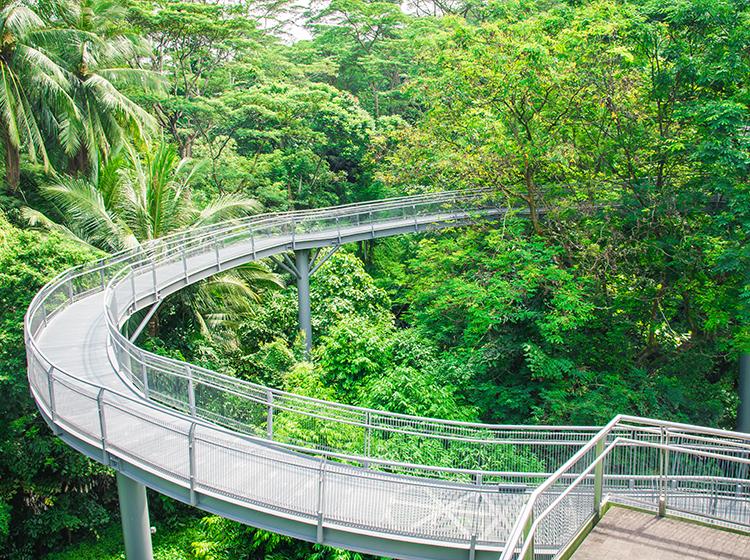 southern ridges