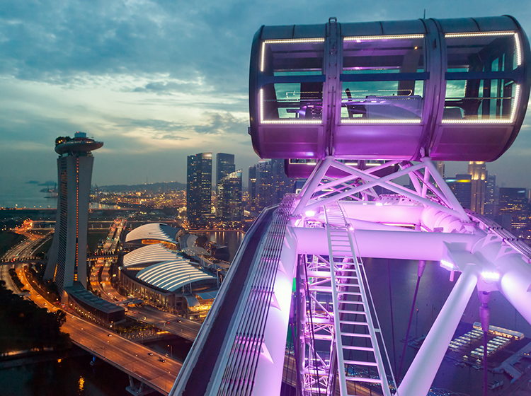 view from Singapore Flyer