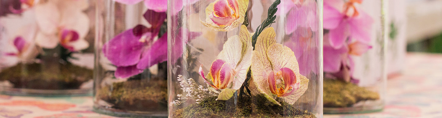 learn a new skill singapore staycation flower dome