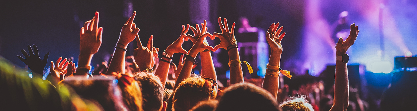 crowd at a concert