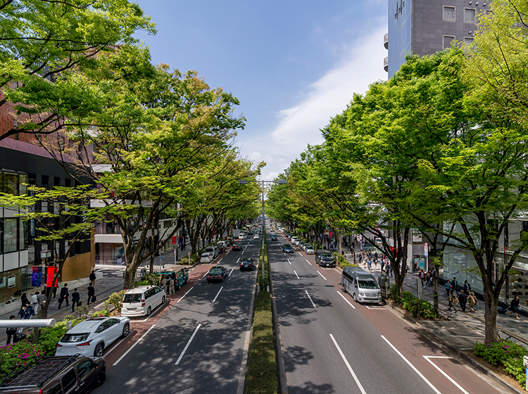The Omotesando shopping street