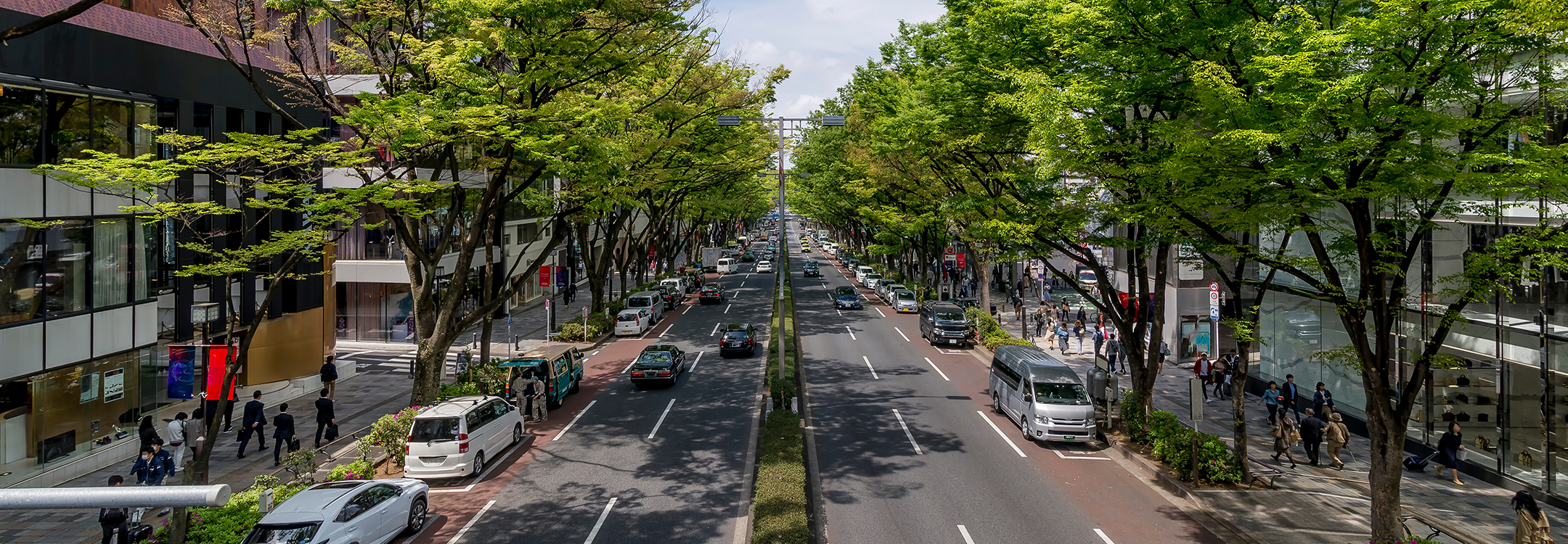 The Omotesando shopping street