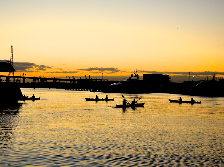 sunset kayak tour along yarra river