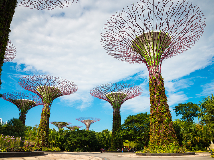 supertrees gardens by the bay singapore