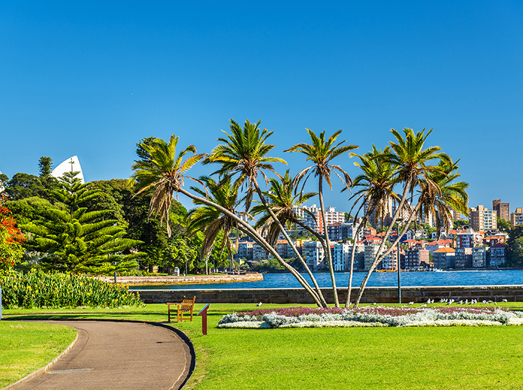 royal botanic garden sydney