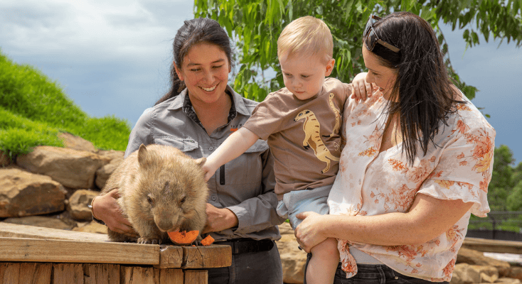 Kid doing wombat encounter 
