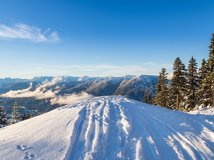 whistler mountain