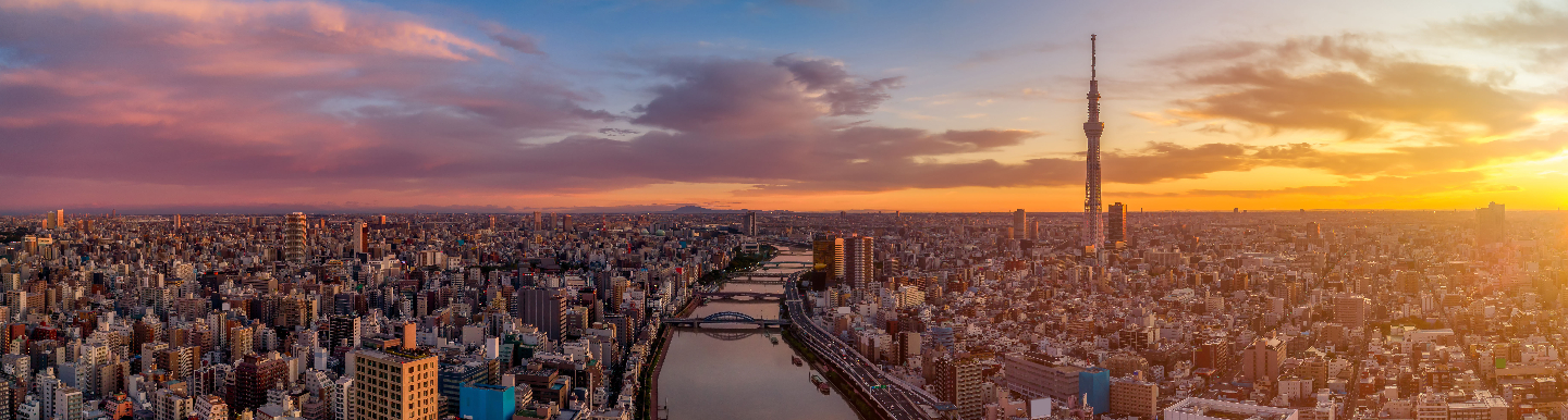 Panoramic View of Tokyo
