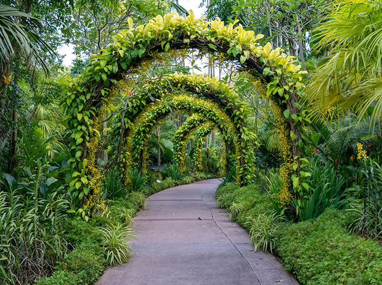 botanical gardens singapore