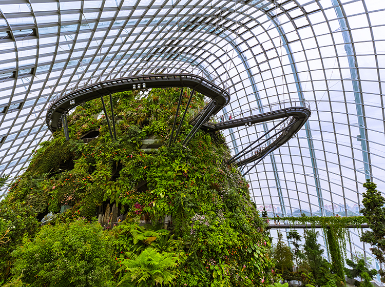 Cloud Forest Dome at Gardens by the Bay