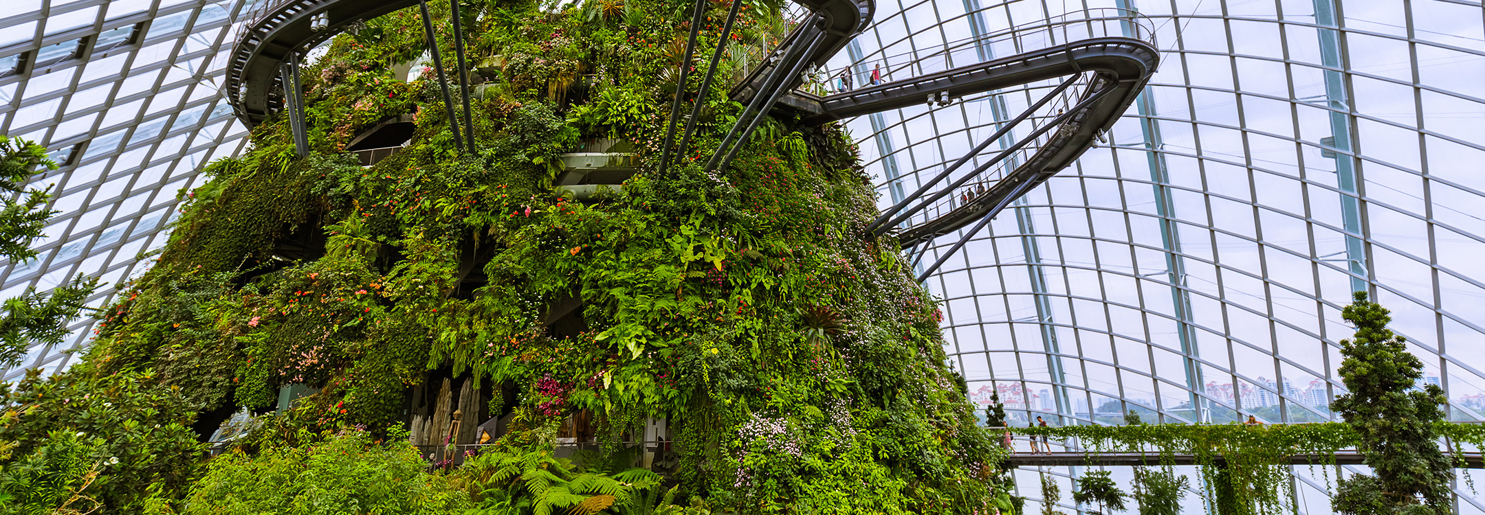 Cloud Forest at Gardens by the Bay