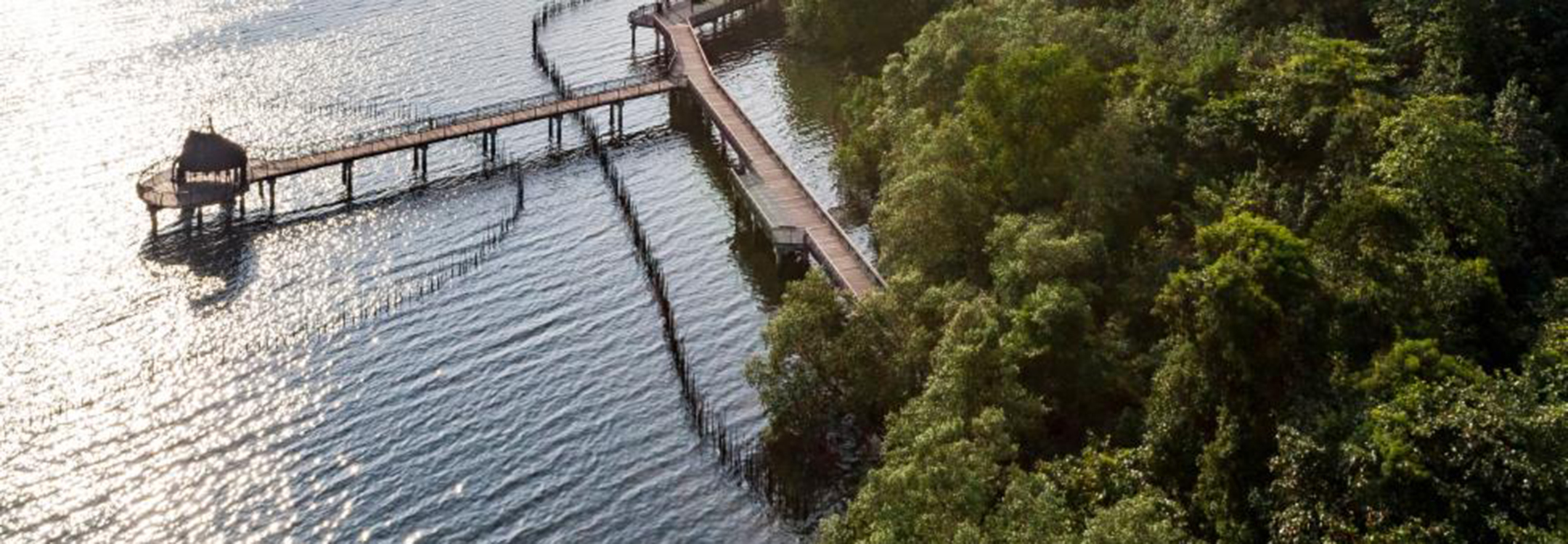 sungei buloh