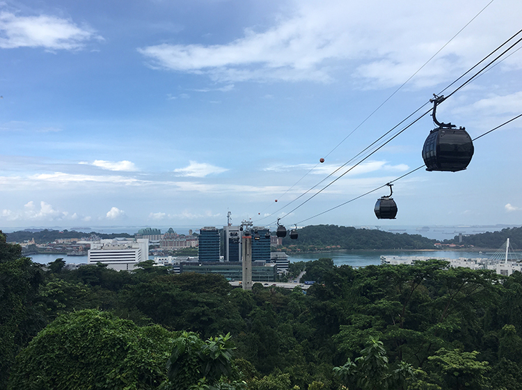 Cable car and view