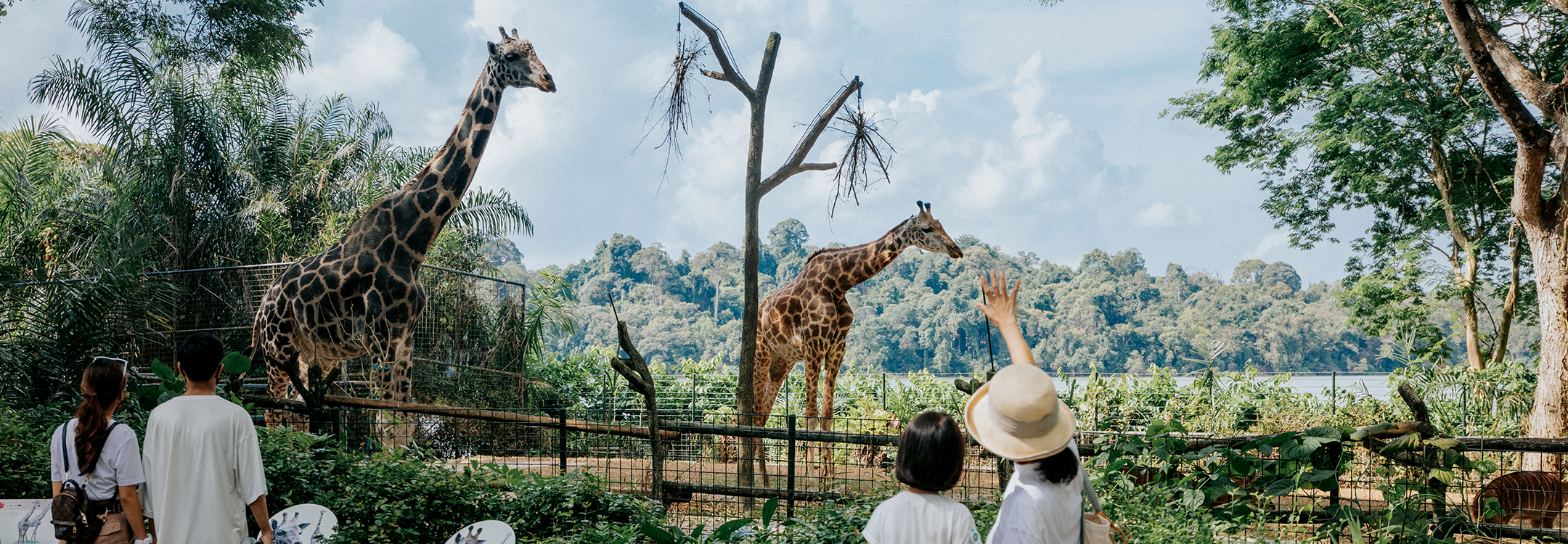 singapore zoo