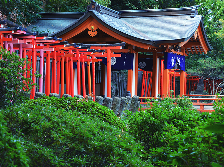 The Nezu Shrine