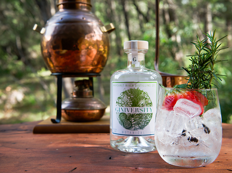 glass of ice with gin