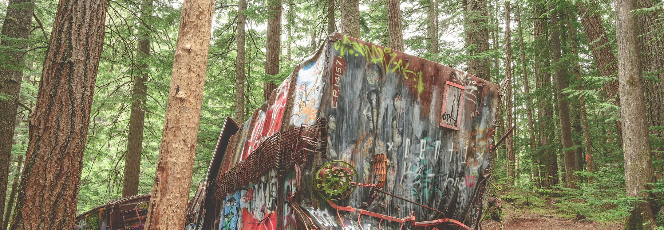 graffiti-train-wreck 