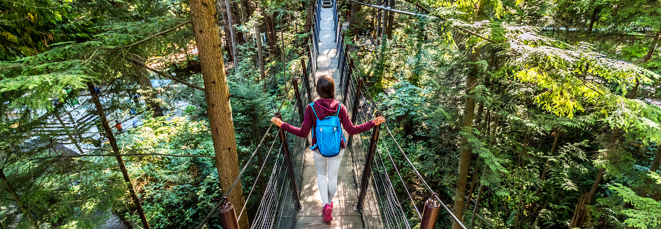 capilano suspension bridge vancouver