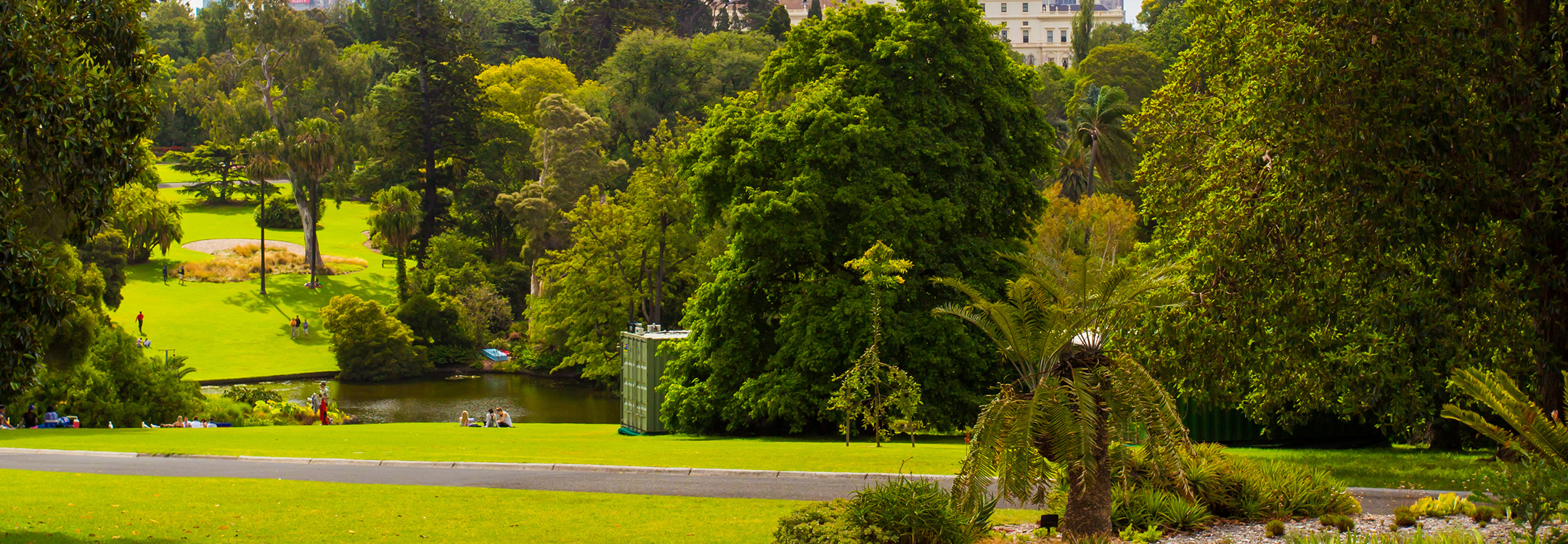  Melbourne Royal Botanical Gardens
