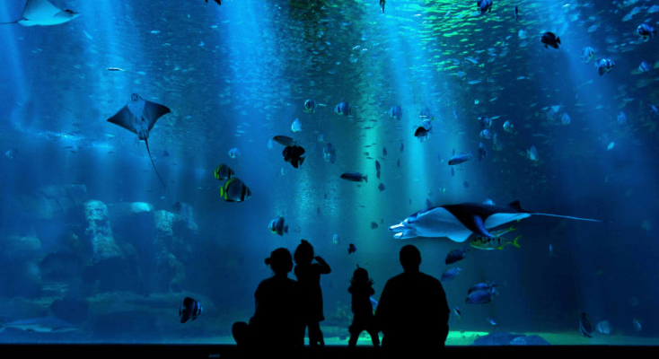 悉尼水族馆