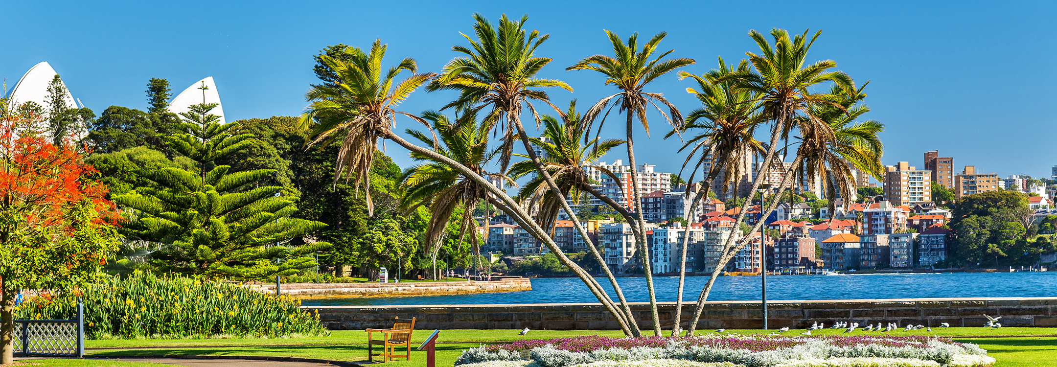 royal botanic garden sydney